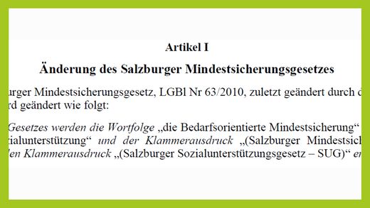 Wohin führt die Salzburger Ausführung des Sozialhilfe-Grundsatzgesetzes?